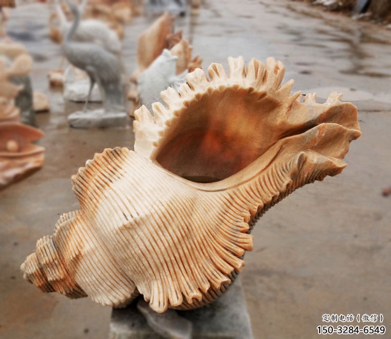 貝殼雕塑，玻璃鋼貝殼雕塑，海洋生物雕塑擺件 (3)