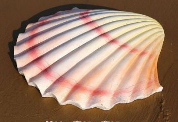 貝殼雕塑，玻璃鋼貝殼雕塑，海洋生物雕塑擺件 (2)