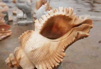貝殼雕塑，玻璃鋼貝殼雕塑，海洋生物雕塑擺件 (3)
