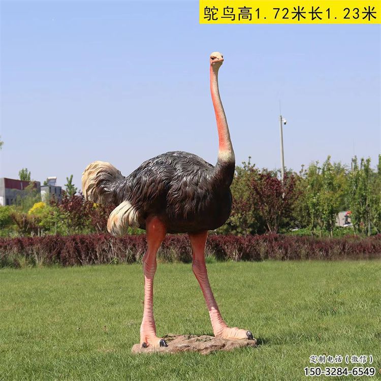 玻璃鋼仿真鴕鳥雕塑廠家，公園廣場(chǎng)動(dòng)物，大型園林小品