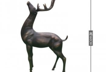 銅小鹿雕塑標(biāo)準(zhǔn)，景觀雕塑，小鹿銅雕塑提供