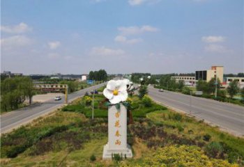 杏花雕塑常用，景觀概念，不銹鋼杏花雕塑廠家